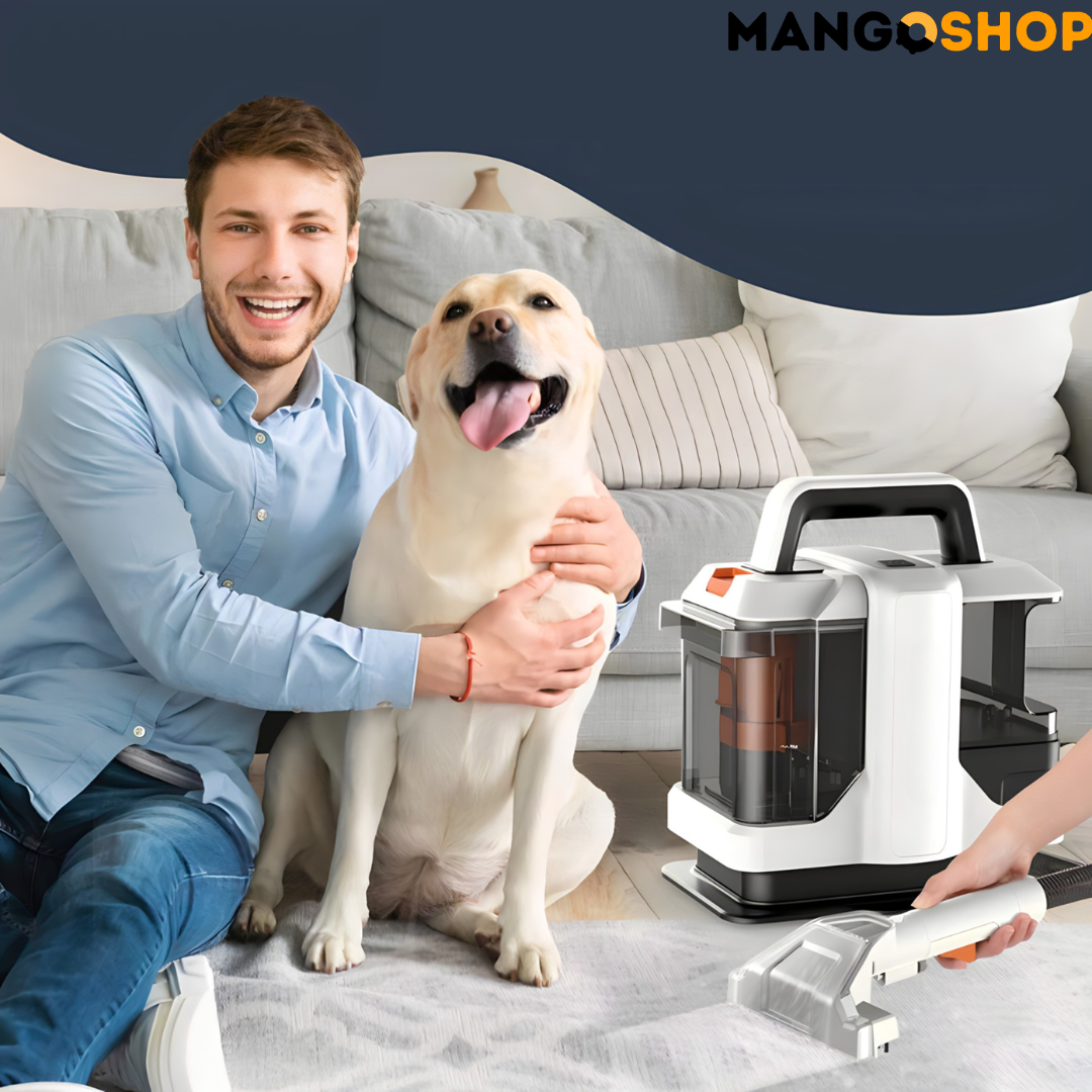 Prenosivi usisivač za dubinsko pranje