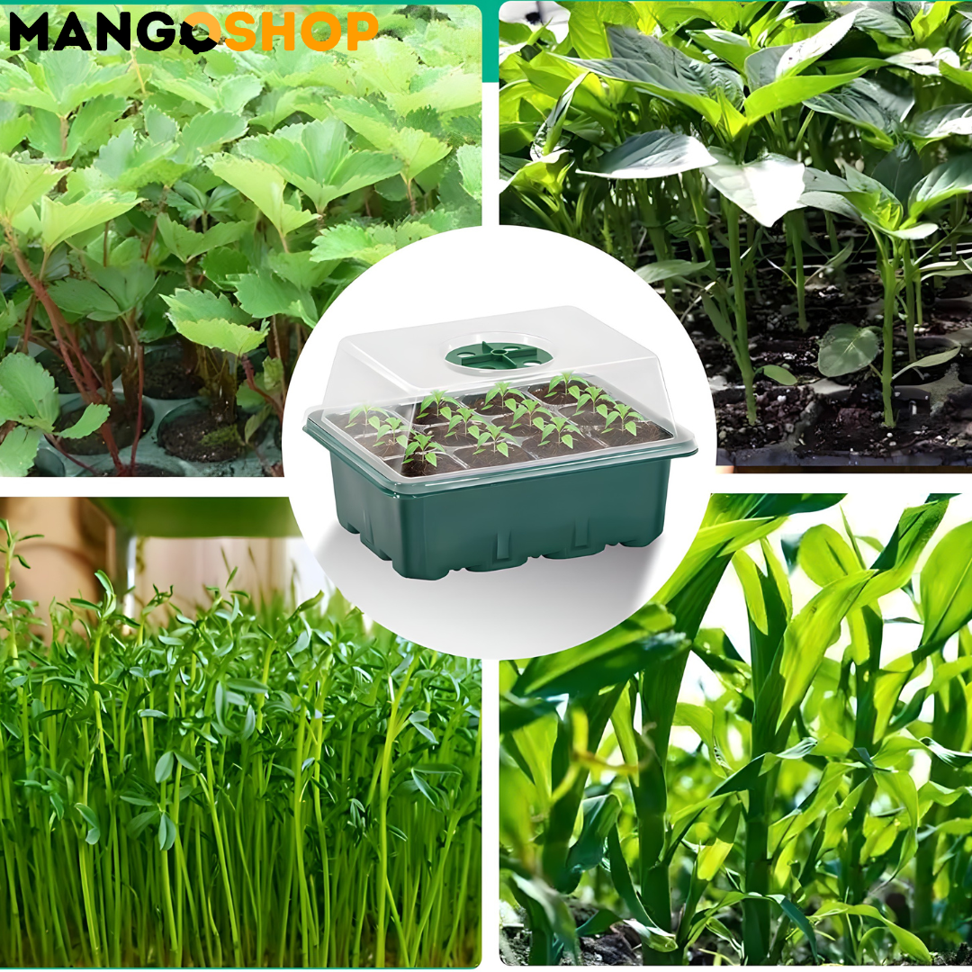 Set za rasad i klijanje biljaka sa podesivom ventilacijom