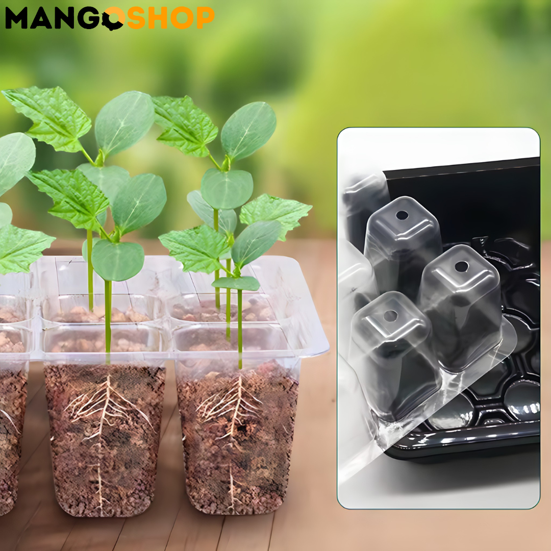 Set za rasad i klijanje biljaka sa podesivom ventilacijom