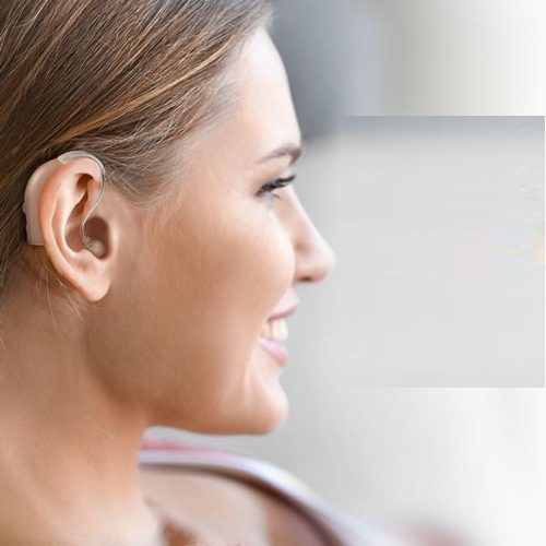 Pojačivač zvuka JZ-1088F